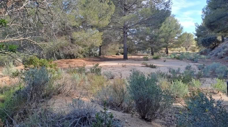 Tarragona - Maspujols - 10908m2