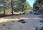 Terreno no urbanizable en venta en la España, Maspujols, ref: TR129824 foto