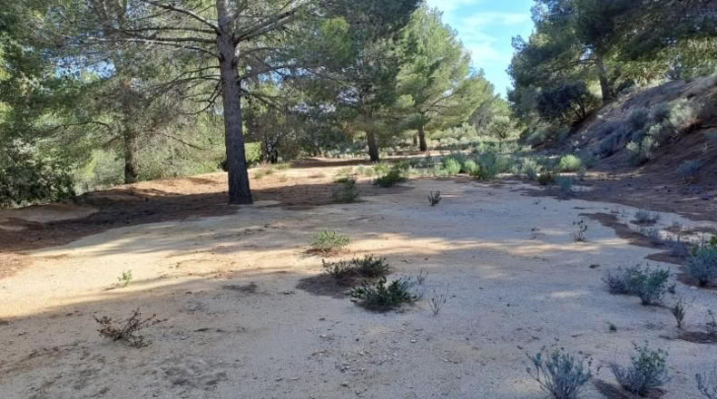 Tarragona - Maspujols - 10908m2