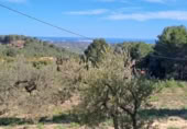 Terreno no urbanizable en venta en la España, Maspujols, ref: TR129824 foto