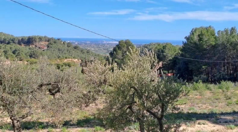 Tarragona - Maspujols - 10908m2