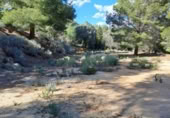 Terreno no urbanizable en venta en la España, Maspujols, ref: TR129824 foto