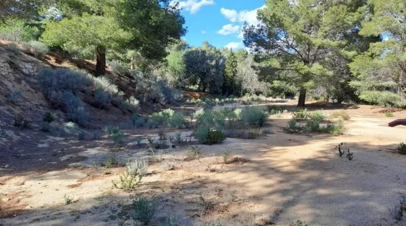 Tarragona - Maspujols - 10908m2