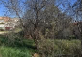 Sòl urbà en venda a la España, la Vall del Tormo, ref.: TR184534 foto