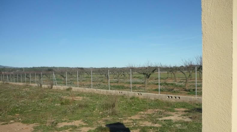 Castellón - Vilafamés - 6913m2