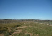 Terreny no urbanitzable en venda a la España, Vilafamés, ref.: TR121896 foto