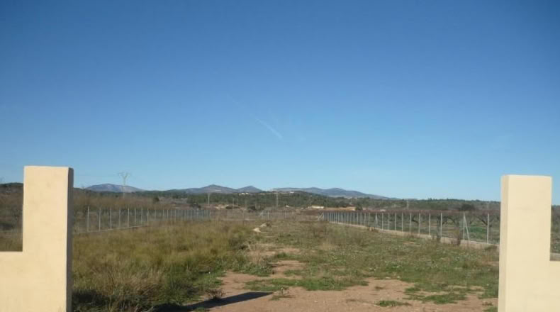 Castellón - Vilafamés - 6913m2