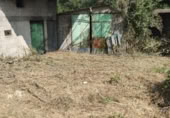 Casa de camp amb terreny en venda a la España, Maceda, ref.: TR299404 foto