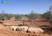 Terreny no urbanitzable en venda a la España, Arahal, ref.: TR118540 foto