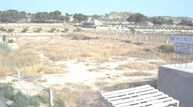 Alicante - Aspe - 6000m2