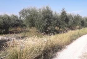 Moratalla 3100&nbsp;m² 