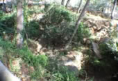 Suelo urbano en venta en la España, Benicasim, ref: TR115041 foto