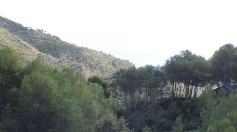 Castellón - Benicasim - 1487m2
