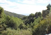 Suelo urbano en venta en la España, Benicasim, ref: TR115041 foto