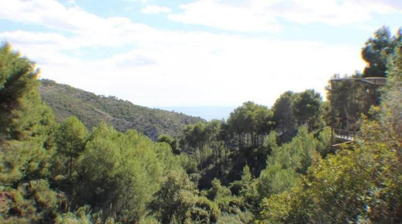 Castellón - Benicasim - 1487m2