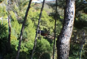 Foto 11
