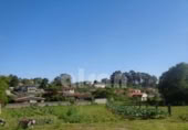 Terreny no urbanitzable en venda a la España, Tomiño, ref.: TR378357 foto
