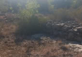 Terreno no urbanizable en venta en la España, Alcanar, ref: TR123884 foto