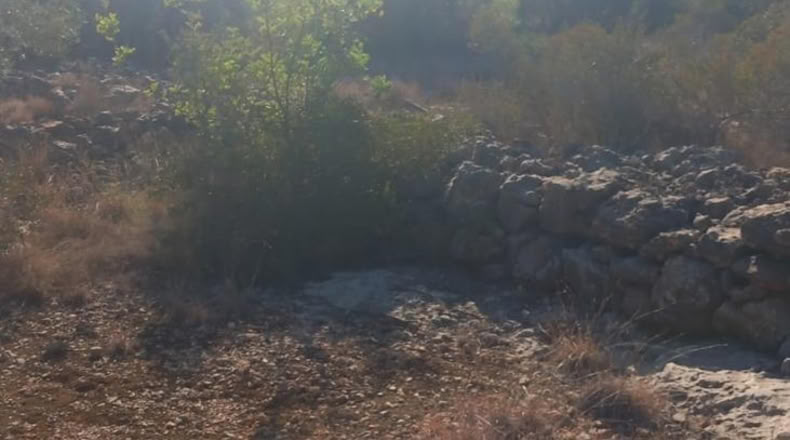 Tarragona - Alcanar - 422m2