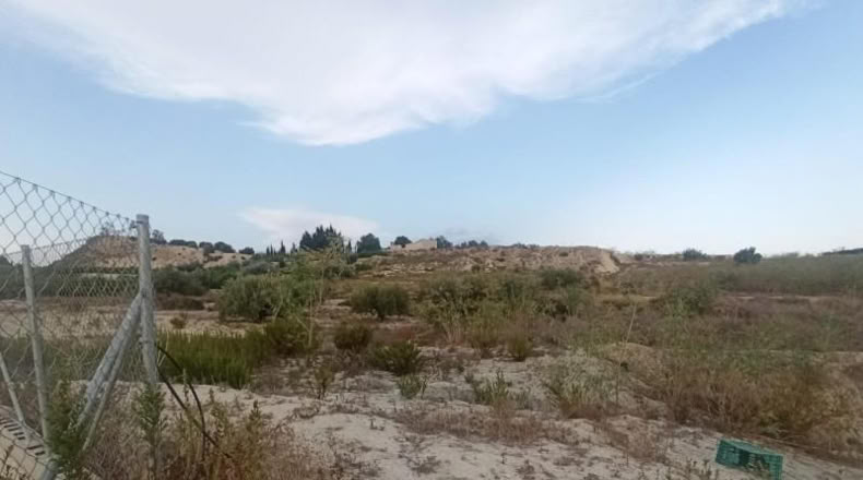 Murcia - Alguazas - 7537m2