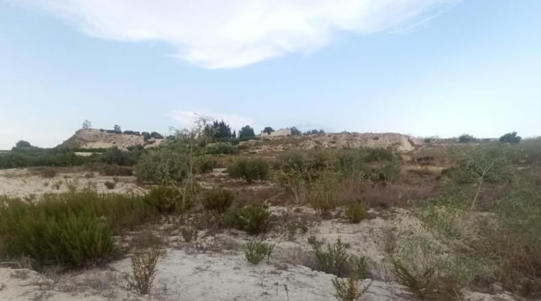 Murcia - Alguazas - 7537m2