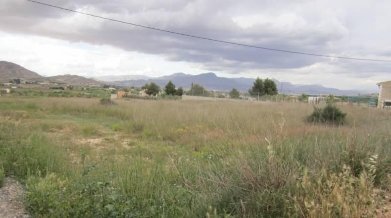 Alicante - Aspe - 4700m2