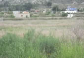 Terreny no urbanitzable en venda a la España, Asp, ref.: TR129232 foto