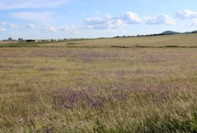 Sierra de Fuentes 25000&nbsp;m²