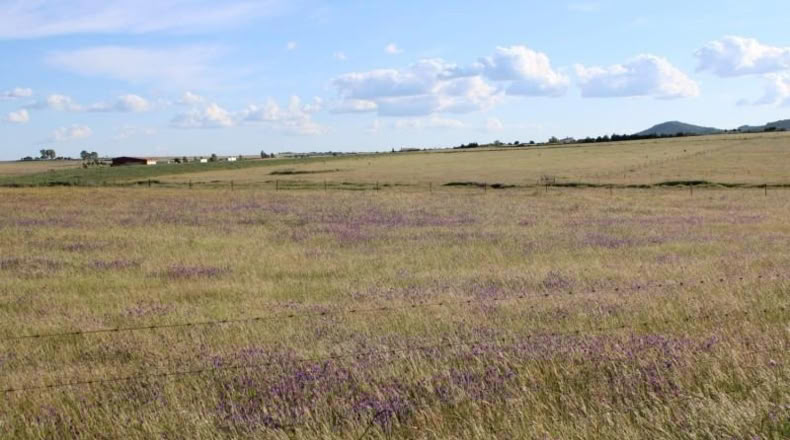 Cáceres - Sierra de Fuentes - 25000m2