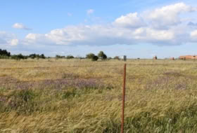 Sierra de Fuentes 25000&nbsp;m²