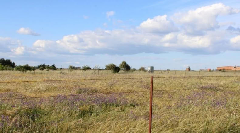 Cáceres - Sierra de Fuentes - 25000m2