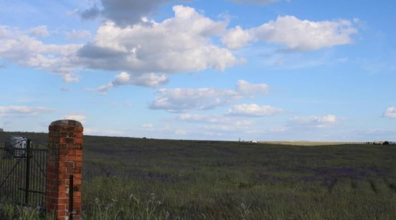 Cáceres - Sierra de Fuentes - 25000m2