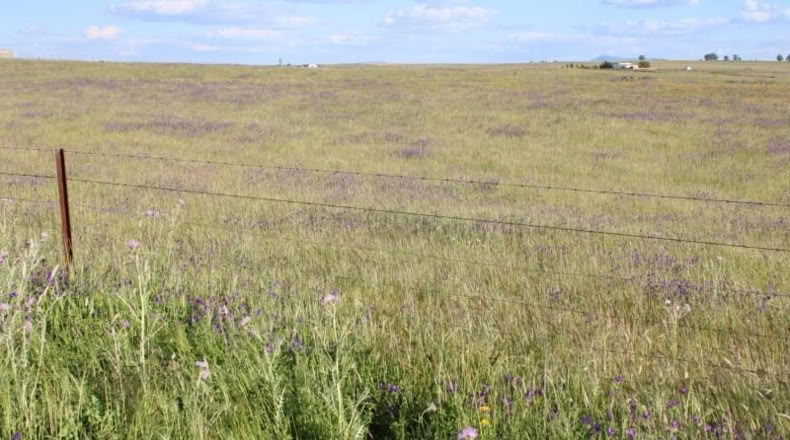 Cáceres - Sierra de Fuentes - 25000m2