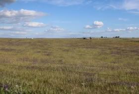 Sierra de Fuentes 25000&nbsp;m²