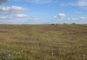 Parcel·la urbanitzable en venda a la España, Sierra de Fuentes, ref.: TR129444 foto