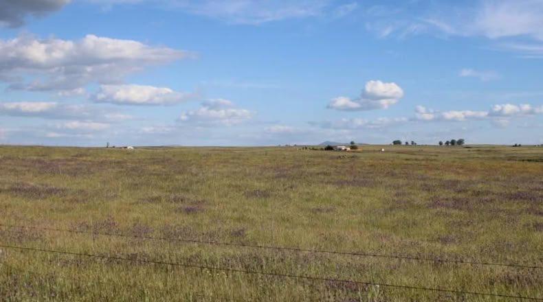 Cáceres - Sierra de Fuentes - 25000m2