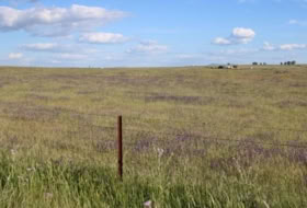 Sierra de Fuentes 25000&nbsp;m²