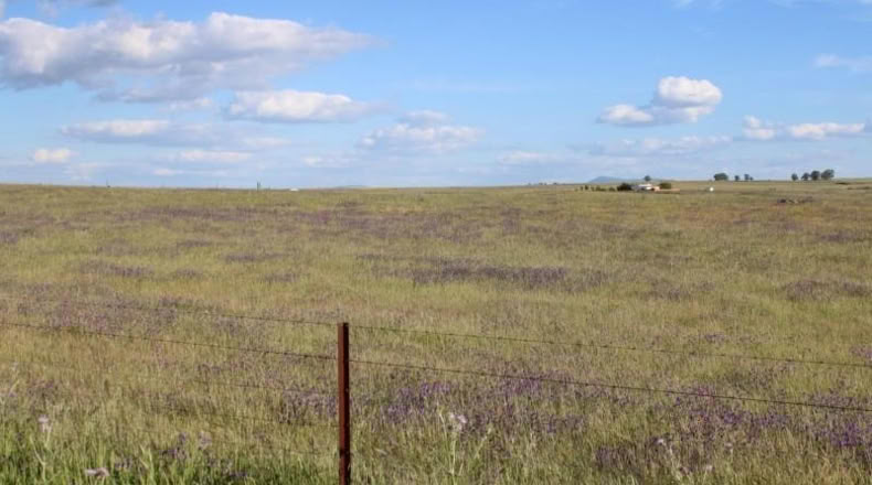 Cáceres - Sierra de Fuentes - 25000m2
