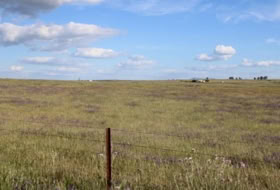 Sierra de Fuentes 25000&nbsp;m²