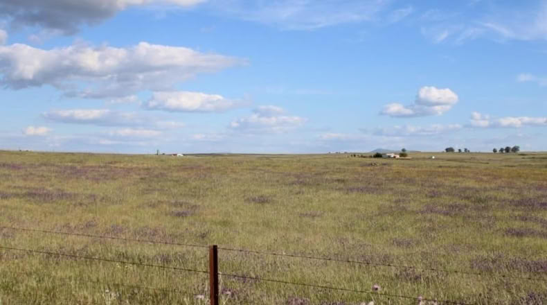 Cáceres - Sierra de Fuentes - 25000m2