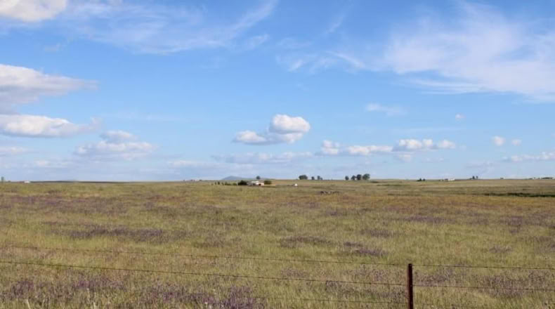 Cáceres - Sierra de Fuentes - 25000m2