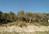 Suelo urbano en venta en la España, Calafell, ref: TR124845 foto