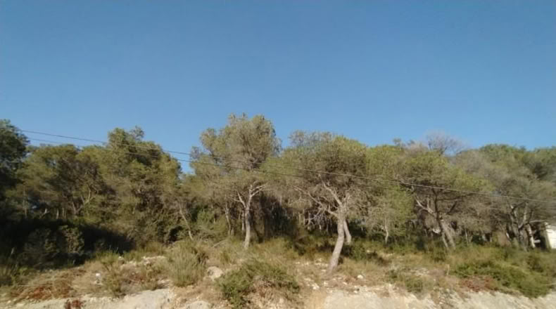 Tarragona - Calafell - 971m2