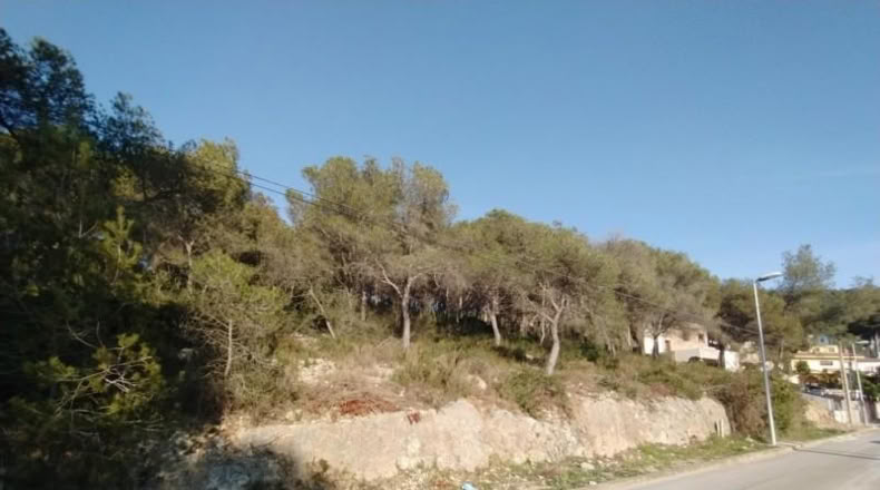 Tarragona - Calafell - 971m2