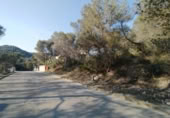 Sòl urbà en venda a la España, Calafell, ref.: TR124846 foto