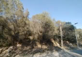 Sòl urbà en venda a la España, Calafell, ref.: TR124846 foto