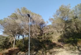 Foto 11