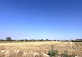 Terreno no urbanizable en venta en la España, Villanueva de la Serena, ref: TR331438 foto