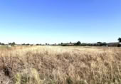 Terreno no urbanizable en venta en la España, Villanueva de la Serena, ref: TR331438 foto