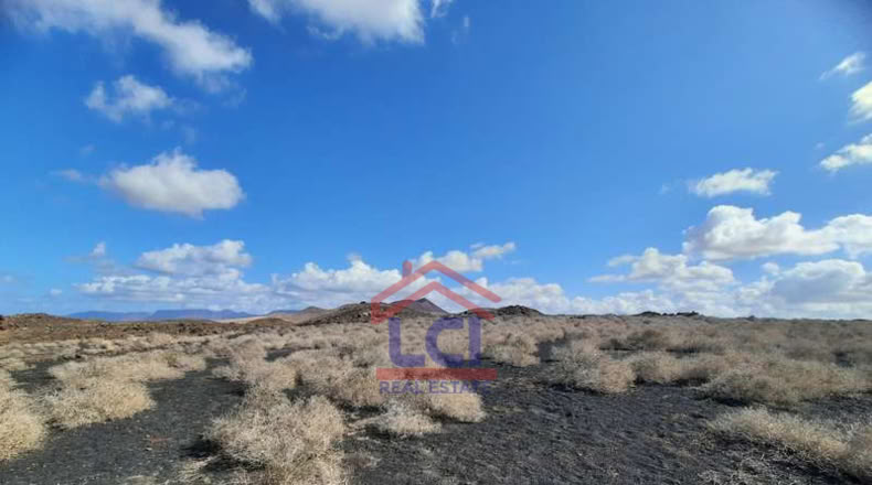 Las Palmas - Teguise - 12836m2
